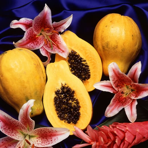 Fruto de papaya (Carica papaya) abierto mostrando sus semillas